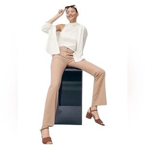 J. CREW City Wool Italian Nova Fides Dress Pants In Beige Size 8